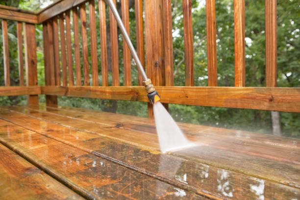 Best Gutter Cleaning  in Riverton, IL